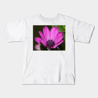 Purple Daisy. Kids T-Shirt